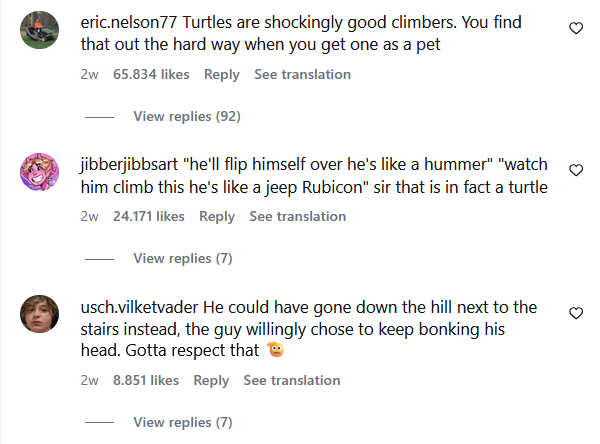eric.nelson77 Turtles are shockingly good climbers. You find that out the hard way when you get one as a pet 2w 65.834 likes Reply See translation View replies (92) jibberjibbsart "he'll flip himself over he's like a hummer" "watch him climb this he's like a jeep Rubicon" sir that is in fact a turtle 2w 24.171 likes Reply See translation View replies (7) usch.vilketvader He could have gone down the hill next to the stairs instead, the guy willingly chose to keep bonking his head. Gotta respect that 2w 8.851 likes Reply See translation View replies (7) 3