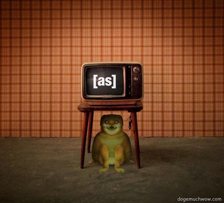 [as] dogemuchwow.com