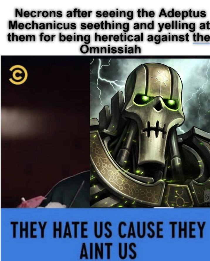 Necrons after seeing the Adeptus Mechanicus seething and yelling at them for being heretical against the Omnissiah © THEY HATE US CAUSE THEY AINT US 2024