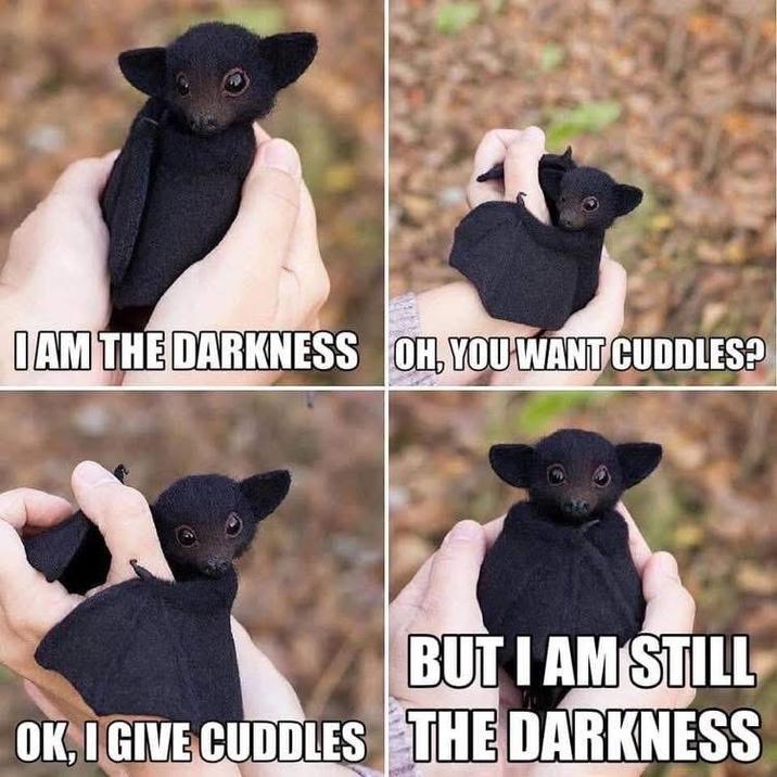 I AM THE DARKNESS OH, YOU WANT CUDDLES? BUT I AM STILL OK, I GIVE CUDDLES THE DARKNESS