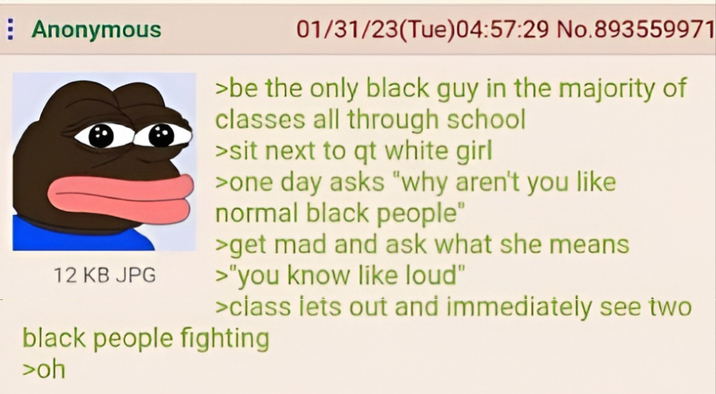 Anonymous 12 KB JPG 01/31/23(Tue)04:57:29 No.893559971 >be the only black guy in the majority of classes all through school >sit next to qt white girl >one day asks "why aren't you like normal black people" >get mad and ask what she means >"you know like loud" >class lets out and immediately see two black people fighting >oh