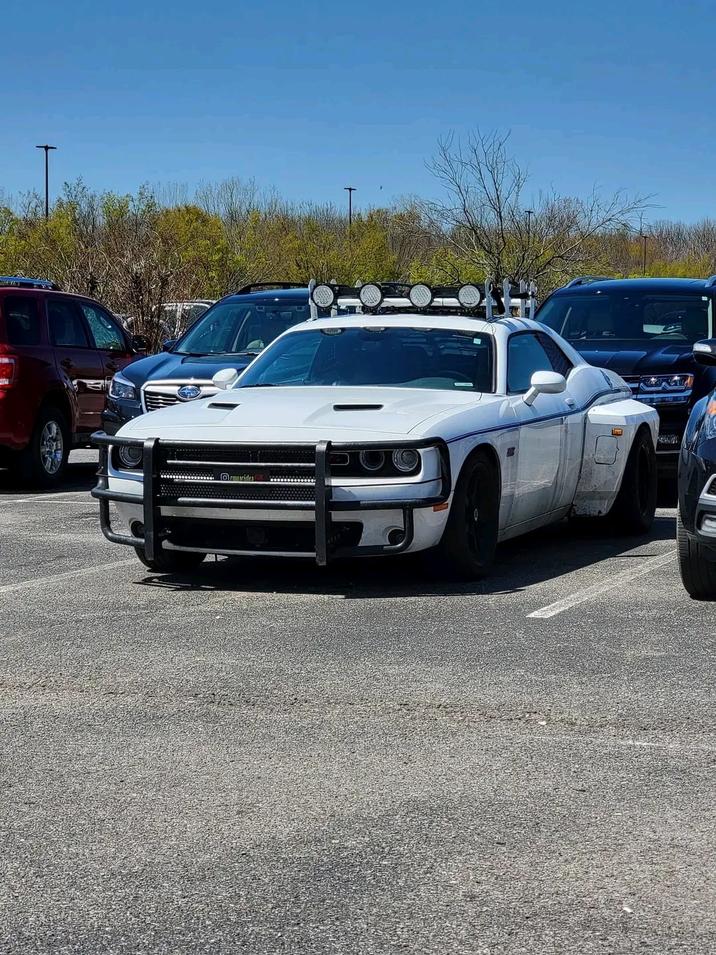 rausrides