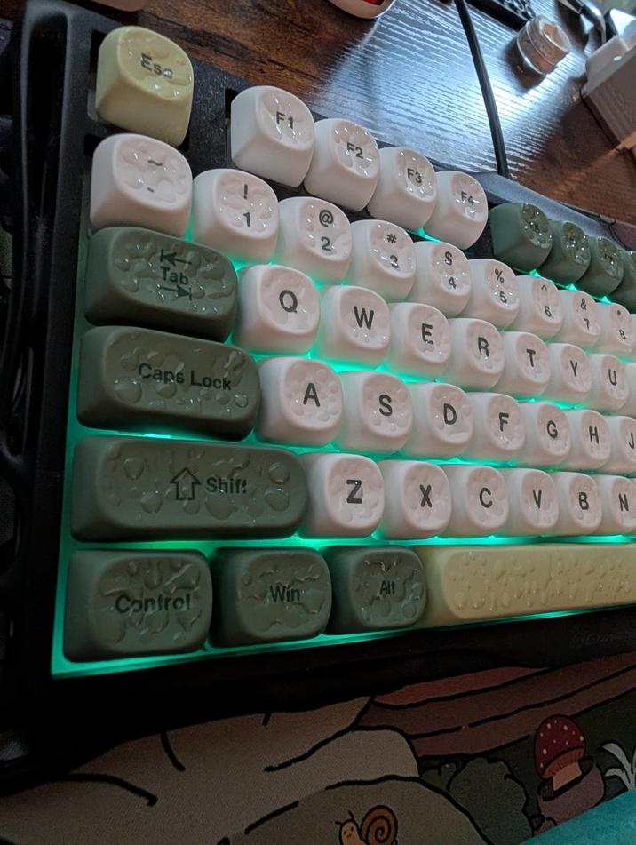 Esc F3 FA Tab W E R T YU Caps Lock A S DF GHJ Shift Z X C VBN Control Win Alt Camer