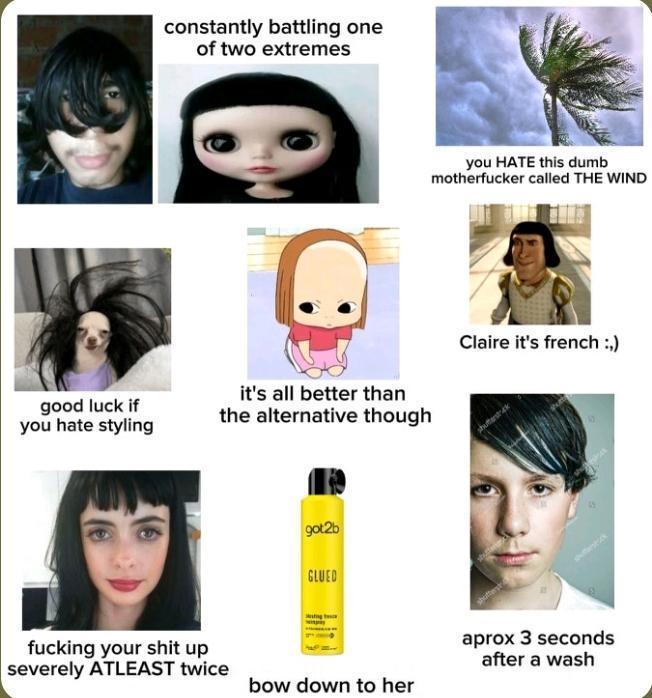 constantly battling one of two extremes it's all better than good luck if you hate styling the alternative though got2b GLUED you HATE this dumb m----------- called THE WIND Claire it's french :,) f------ your s--- up severely ATLEAST twice aprox 3 seconds after a wash bow down to her