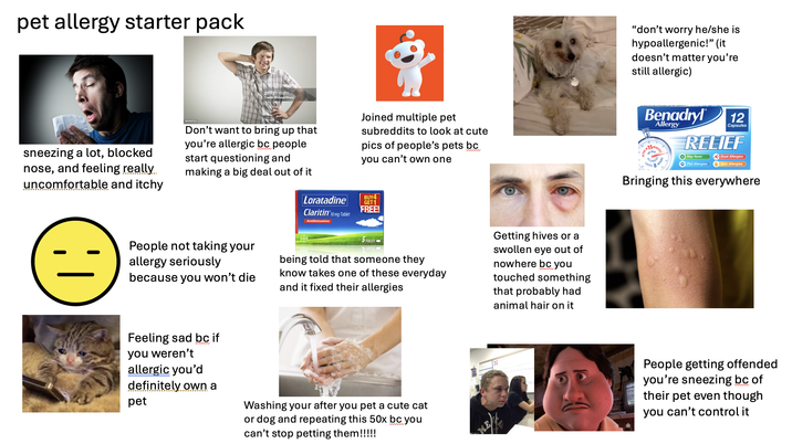 pet allergy starter pack gettyimages Credit: Richard Drury sneezing a lot, blocked nose, and feeling really uncomfortable and itchy 83764713 Don't want to bring up that you're allergic bc people start questioning and making a big deal out of it Loratadine Joined multiple pet subreddits to look at cute wwww pics of people's pets bc you can't own one BUY4 GET 1 FREE! Claritin 10 mg Tablet Antihistamine 5 TABLETS People not taking your allergy seriously because you won't die being told that someone they know takes one of these everyday and it fixed their allergies Getting hives or a swollen eye out of nowhere bc you touched something that probably had animal hair on it Feeling sad bc if you weren't allergic you'd definitely own a pet Washing your after you pet a cute cat www or dog and repeating this 50x bc you can't stop petting them!!!!! ME "don't worry he/she is hypoallergenic!" (it doesn't matter you're still allergic) Benadryl IVE IN 75 LASTS Allergy MINUTES 8 HOURS 12 Capsules RELIEF Hay fever Dust Allergies Pet Allergies Skin Allergies Bringing this everywhere People getting offended you're sneezing bc of their pet even though wwww you can't control it