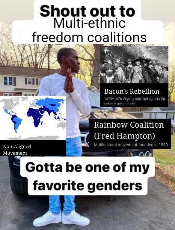 Shout out to Multi-ethnic freedom coalitions Bacon's Rebellion 1675-1676 Virginia rebellion against the colonial government Rainbow Coalition (Fred Hampton) Multicultural movement founded in 1969 Non-Aligned Movement Gotta be one of my favorite genders