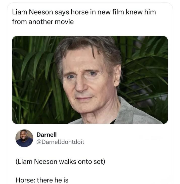 Liam Neeson says horse in new film knew him from another movie Darnell @Darnelldontdoit (Liam Neeson walks onto set) Horse: there he is