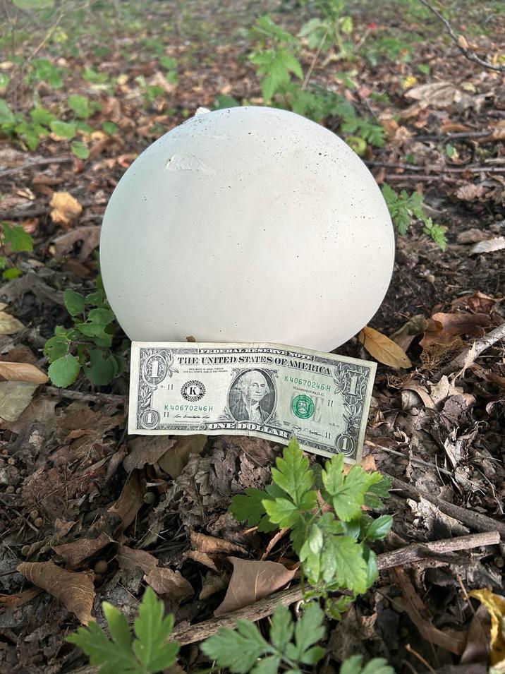 FEDERAL RES ENOTE O THE UNITED STATES OF AMERICA K40670246 H WASHINGTON.D.C. 11 D. 11 K K 40670246H Dis ANDRANGO ONE DOLLAR