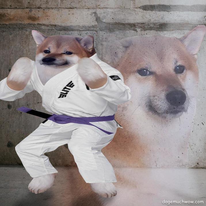 ELITE dogemuchwow.com
