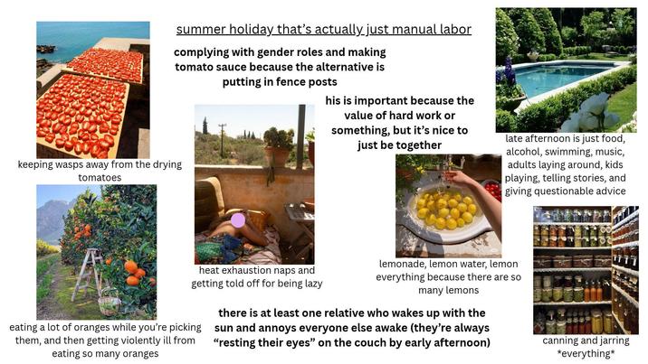 summer holiday that's actually just manual labor complying with gender roles and making tomato sauce because the alternative is putting in fence posts his is important because the value of hard work or something, but it's nice to just be together late afternoon is just food, alcohol, swimming, music, adults laying around, kids playing, telling stories, and giving questionable advice keeping wasps away from the drying tomatoes heat exhaustion naps and getting told off for being lazy eating a lot of oranges while you're picking them, and then getting violently ill from eating so many oranges lemonade, lemon water, lemon everything because there are so many lemons there is at least one relative who wakes up with the sun and annoys everyone else awake (they're always "resting their eyes" on the couch by early afternoon) canning and jarring *everything*