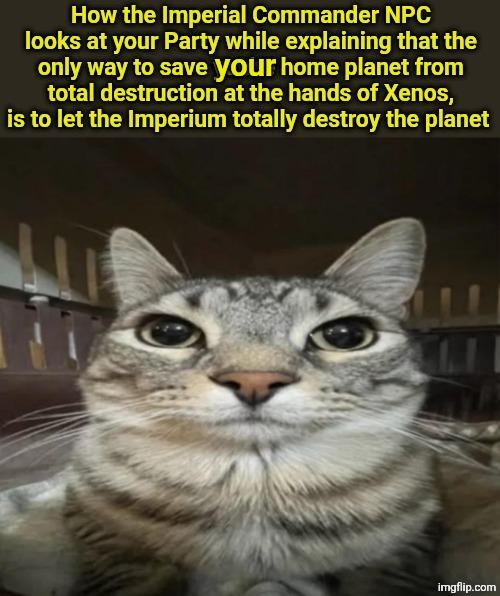 How the Imperial Commander NPC looks at your Party while explaining that the only way to save your home planet from total destruction at the hands of Xenos, is to let the Imperium totally destroy the planet imgflip.com