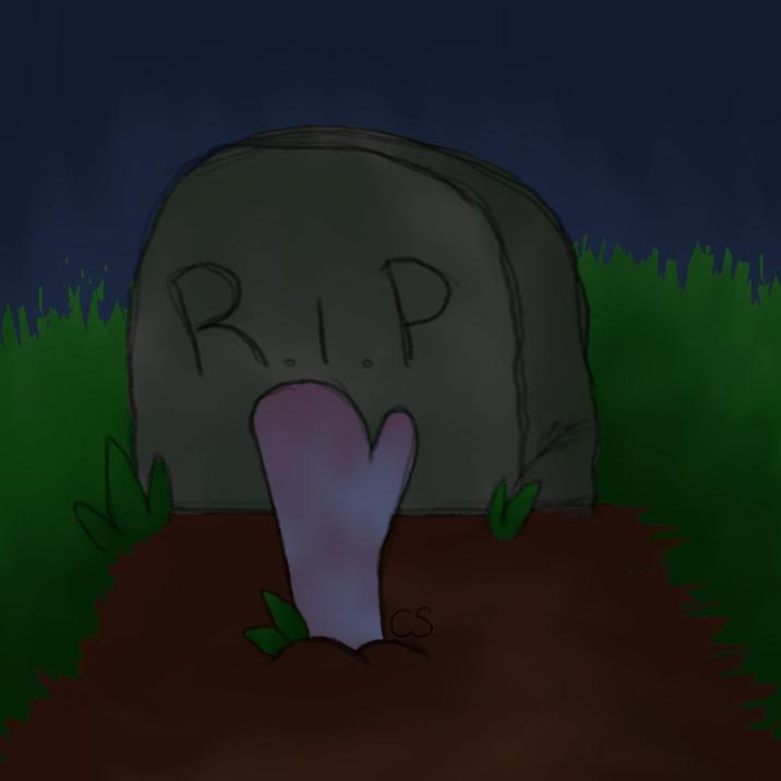 R.L.P CS
