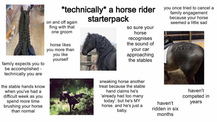 family expects you to be accomplished technically you are the stable hands know when you've had a difficult week as you spend more time brushing your horse than normal *technically* a horse rider on and off again fling with that one groom horse likes you more than you like yourself starterpack so sure your horse recognises the sound of your car approaching the stables you once tried to cancel a family engagement because your horse seemed a little sad sneaking horse another treat because the stable hand claims he's 'already had too many today'. but he's MY horse. and he's just a baby. haven't ridden in six haven't competed in years months