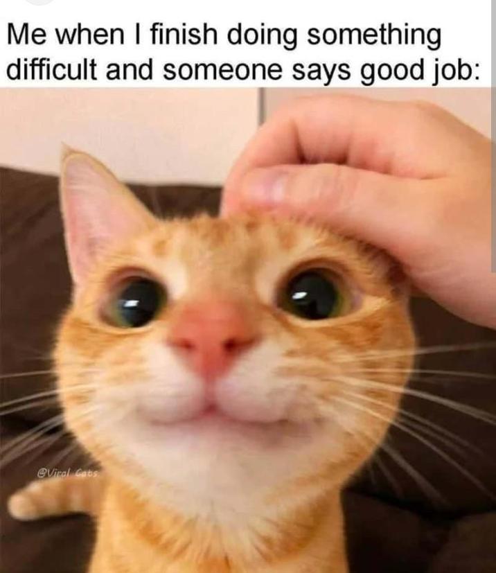 Me when I finish doing something difficult and someone says good job: @Viral Cats