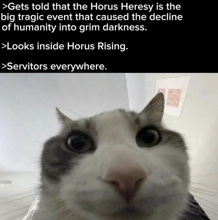 >Gets told that the Horus Heresy is the big tragic event that caused the decline of humanity into grim darkness. >Looks inside Horus Rising. >Servitors everywhere.