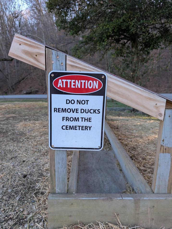 ATTENTION DO NOT REMOVE DUCKS FROM THE CEMETERY