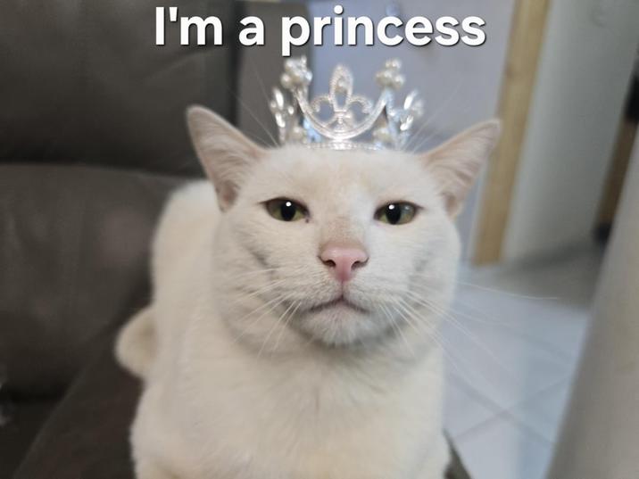 I'm a princess