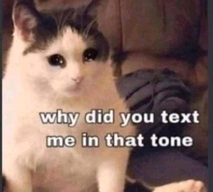 why did you text me in that tone
