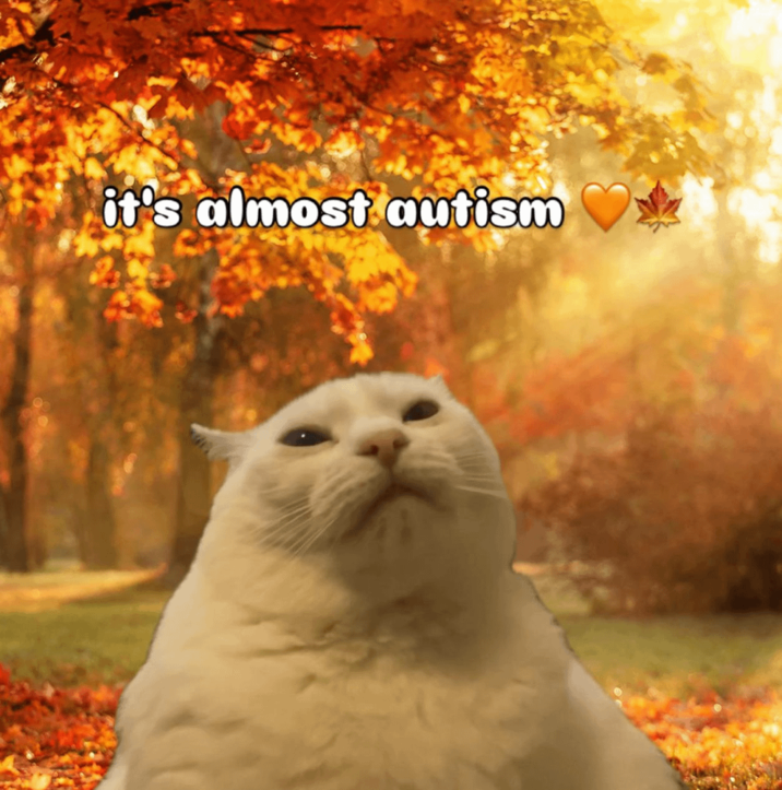 it's almost autism