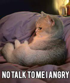 NO TALK TOMEI ANGRY