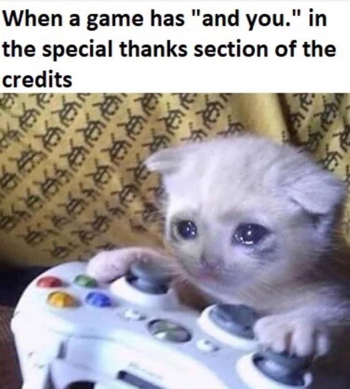 When a game has "and you." in the special thanks section of the credits