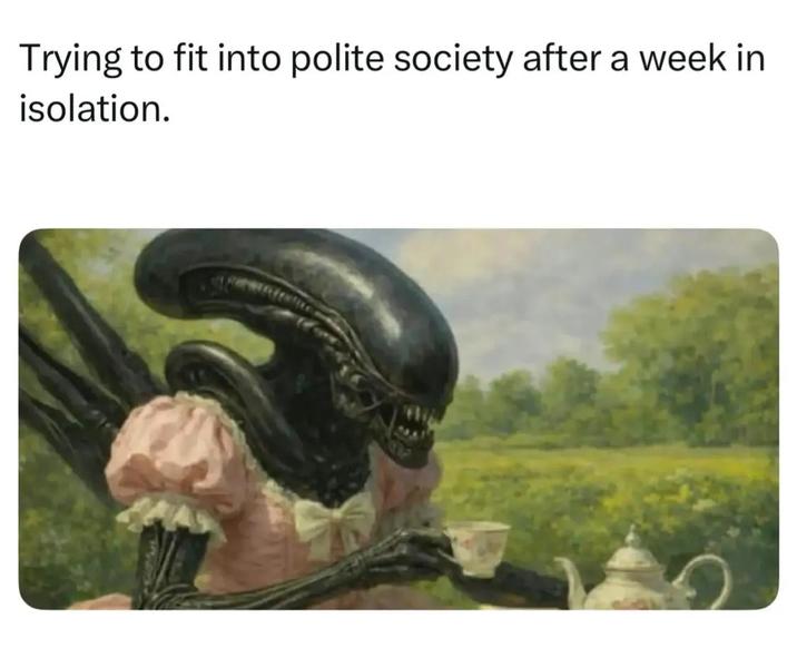 Trying to fit into polite society after a week in isolation.