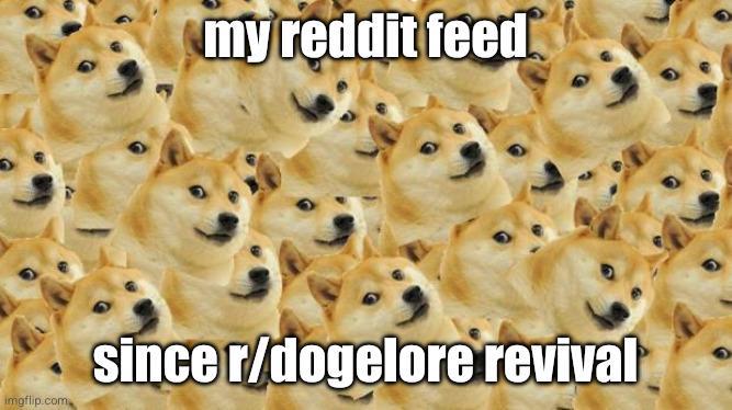 my reddit feed imgflip.com since r/dogelore revival