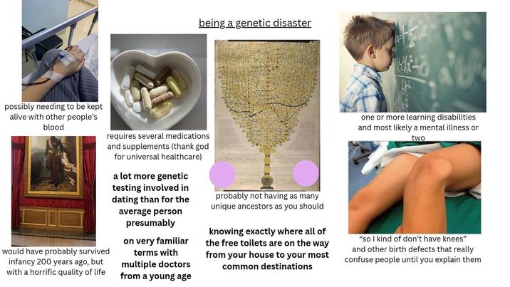 being a genetic disaster possibly needing to be kept alive with other people's blood would have probably survived infancy 200 years ago, but with a horrific quality of life requires several medications and supplements (thank god for universal healthcare) a lot more genetic testing involved in dating than for the average person presumably on very familiar terms with multiple doctors from a young age probably not having as many unique ancestors as you should knowing exactly where all of the free toilets are on the way from your house to your most common destinations one or more learning disabilities and most likely a mental illness or two "so I kind of don't have knees❞ and other birth defects that really confuse people until you explain them