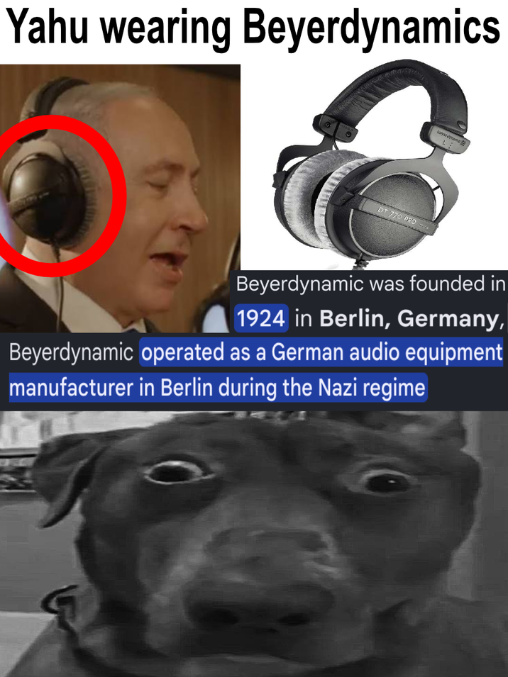 Yahu wearing Beyerdynamics bay L DT 770 PRO Beyerdynamic was founded in 1924 in Berlin, Germany, Beyerdynamic operated as a German audio equipment manufacturer in Berlin during the Nazi regime