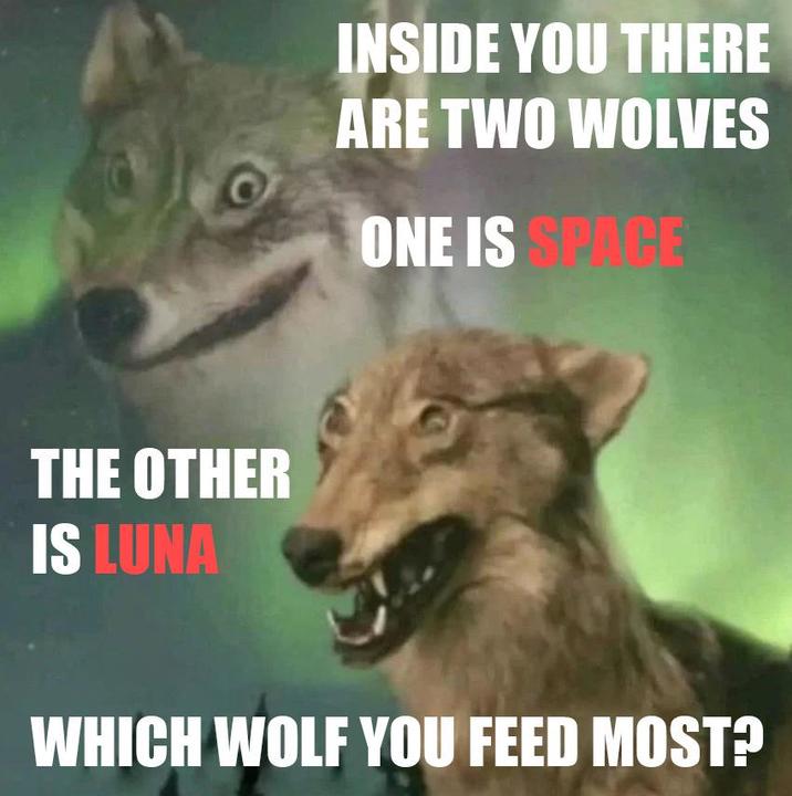 THE OTHER IS LUNA INSIDE YOU THERE ARE TWO WOLVES ONE IS SPACE WHICH WOLF YOU FEED MOST?