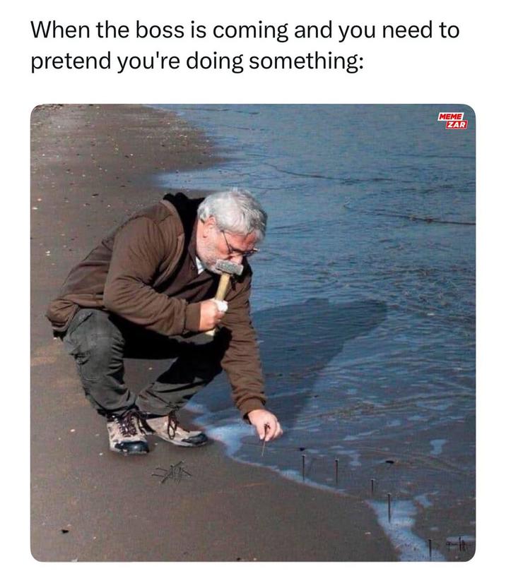 When the boss is coming and you need to pretend you're doing something: MEME ZAR
