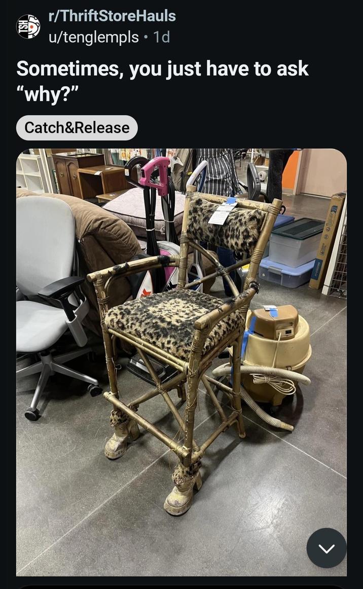 r/ThriftStoreHauls • u/tenglempls ⚫ 1d Sometimes, you just have to ask "why?" Catch&Release L