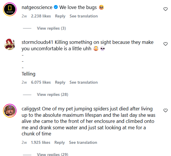 ㅁ SCIENCE natgeoscience ⭑We love the bugs 2w 2.238 likes Reply See translation View replies (3) stormclouds41 Killing something on sight because they make you uncomfortable is a little uhh .. Telling 2w 6.075 likes Reply See translation View replies (28) caliggyst One of my pet jumping spiders just died after living up to the absolute maximum lifespan and the last day she was alive she came to the front of her enclosure and climbed onto me and drank some water and just sat looking at me for a chunk of time 2w 1.925 likes Reply See translation View replies (29) 3 3