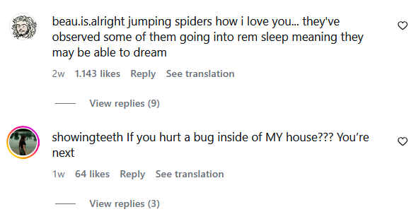 о beau.is.alright jumping spiders how i love you... they've observed some of them going into rem sleep meaning they may be able to dream 2w 1.143 likes Reply See translation View replies (9) showingteeth If you hurt a bug inside of MY house??? You're next 1w 64 likes Reply See translation View replies (3)