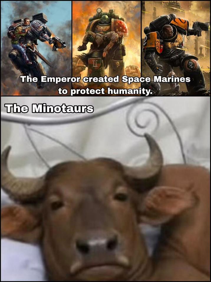 The Emperor created Space Marines to protect humanity. The Minotaurs