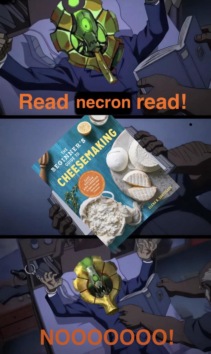 Read necron read! THE BEGINNER'S GUIDE TO CHEESEMAKING RICOTTA. EASY RECIPES AND LESSONS to Make Your Own Handcrafted Cheeses NOOOOOOO! ELENA R. SANTOGADE
