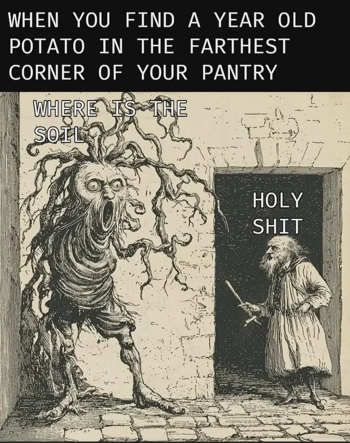 WHEN YOU FIND A YEAR OLD POTATO IN THE FARTHEST CORNER OF YOUR PANTRY WHERE IS THE SOILY H--------
