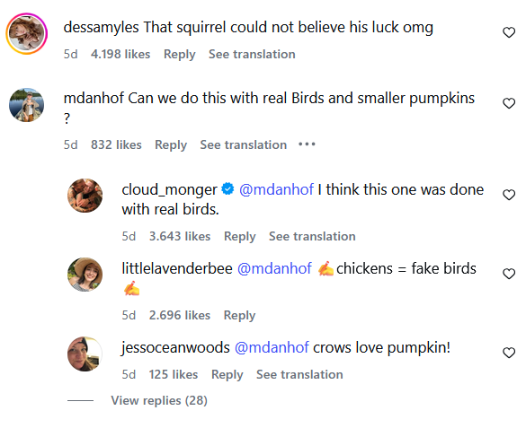 dessamyles That squirrel could not believe his luck omg 5d 4.198 likes Reply See translation mdanhof Can we do this with real Birds and smaller pumpkins ? 5d 832 likes Reply See translation cloud_monger @mdanhof I think this one was done with real birds. 5d 3.643 likes Reply See translation littlelavenderbee @mdanhof chickens = fake birds 5d 2.696 likes Reply jessoceanwoods @mdanhof crows love pumpkin! 5d 125 likes Reply See translation View replies (28) 3