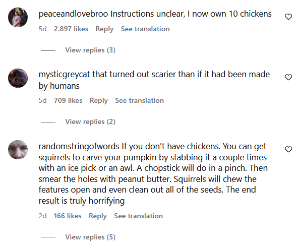 peaceandlovebroo Instructions unclear, I now own 10 chickens 5d 2.897 likes Reply See translation View replies (3) mysticgreycat that turned out scarier than if it had been made by humans 5d 709 likes Reply See translation View replies (2) randomstringofwords If you don't have chickens. You can get squirrels to carve your pumpkin by stabbing it a couple times with an ice pick or an awl. A chopstick will do in a pinch. Then smear the holes with peanut butter. Squirrels will chew the features open and even clean out all of the seeds. The end result is truly horrifying 2d 166 likes Reply See translation View replies (5)