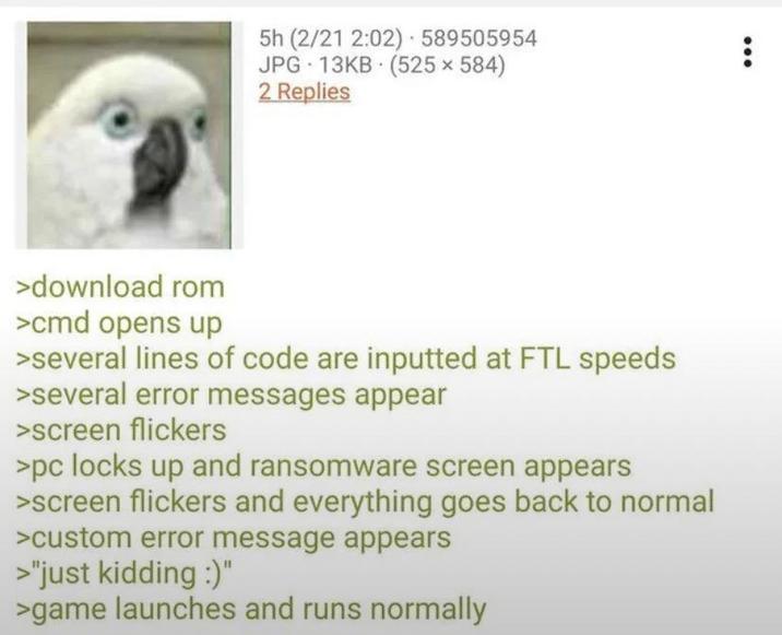 5h (2/21 2:02) 589505954 JPG 13KB (525x584) 2 Replies >download rom >cmd opens up >several lines of code are inputted at FTL speeds >several error messages appear >screen flickers >pc locks up and ransomware screen appears >screen flickers and everything goes back to normal >custom error message appears >"just kidding :)" >game launches and runs normally