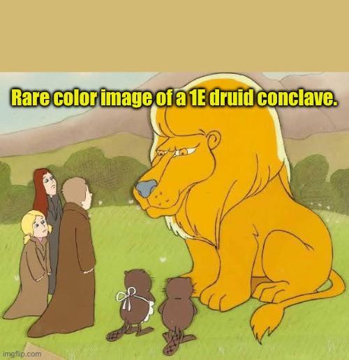 Rare color image of a 1E druid conclave. imgflip.com