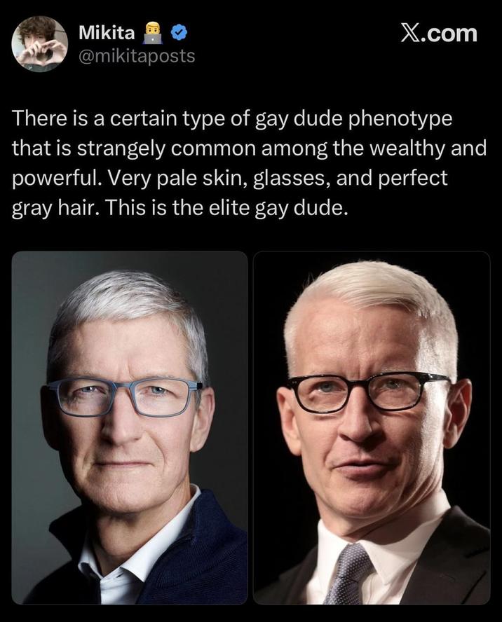 Mikita @mikitaposts X.com There is a certain type of gay dude phenotype that is strangely common among the wealthy and powerful. Very pale skin, glasses, and perfect gray hair. This is the elite gay dude.