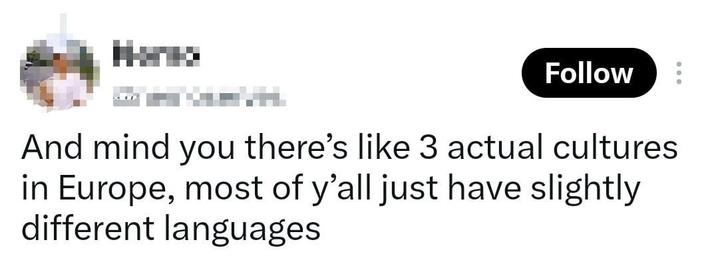 Follow And mind you there's like 3 actual cultures in Europe, most of y'all just have slightly different languages