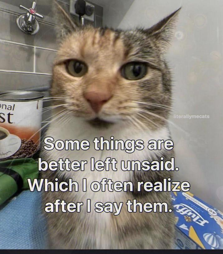 literallymecats onal st Some things are better left unsaid. Which I often realize after I say them.