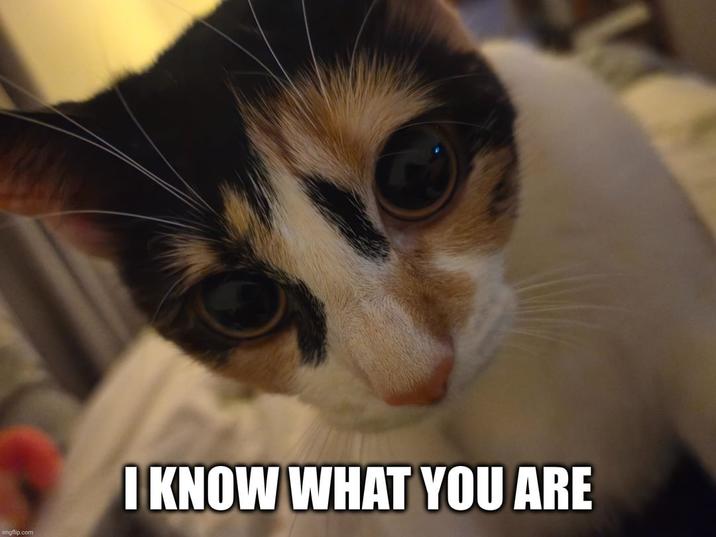 imgflip.com I KNOW WHAT YOU ARE