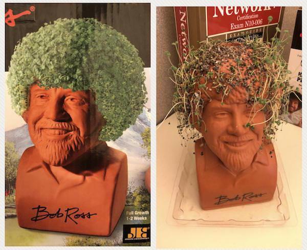 Bob Ross Networ Networ Certification Exam N10-006 EXAMGUL Full Growth 1-2 Weeks БЛЯ Bub Rest