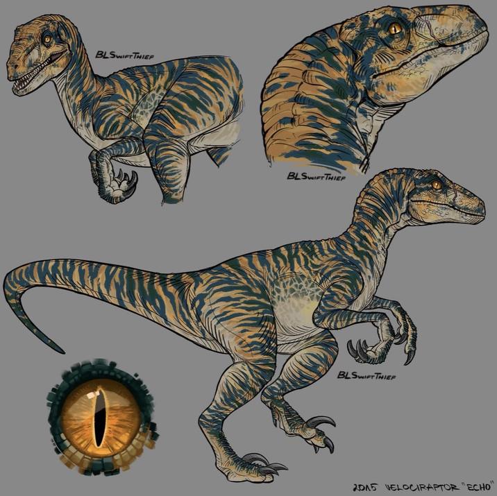 BLSWIFT THIEF BLSWIFT THIEF BLSWIFT THIEF "1 2015 VELOCIRAPTOR "ECHO"