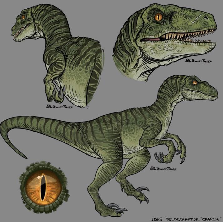 BLSWIFT THIEF BLSWIFT THIEFP BLSWIFT THIEF 2015 VELOCIRAPTOR CHARLIE