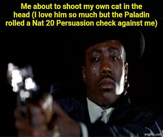 Me about to shoot my own cat in the head (I love him so much but the Paladin rolled a Nat 20 Persuasion check against me) imgflip.com