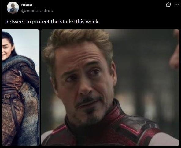 maia @amidalastark retweet to protect the starks this week Q